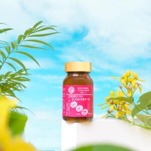 Viên uống Elastin Plus & Nattokinase Hokoen 80 viên bền thành mạch, ngừa tai biến 11 - Gico Pharma DSC09453 sua - Sản phẩm được bán bởi Gico Pharma