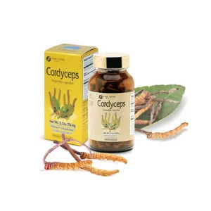 Viên Uống Đông Trùng Hạ Thảo Cordyceps Fine Japan Hộp 120 viên