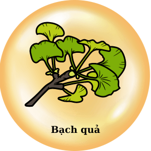 11 - Sản phẩm được bán bởi Gico Pharma