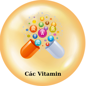 13 - Sản phẩm được bán bởi Gico Pharma