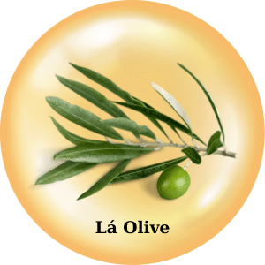 15 - Sản phẩm được bán bởi Gico Pharma