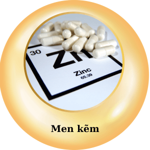 17 - Sản phẩm được bán bởi Gico Pharma