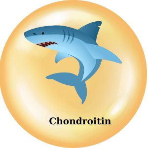 2 - Sản phẩm được bán bởi Gico Pharma