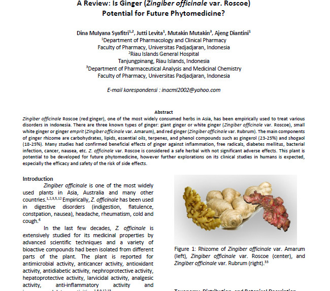 glucosamine tai lieu 9 - Sản phẩm được bán bởi Gico Pharma