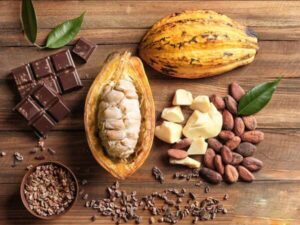 bo cacao - Sản phẩm được bán bởi Gico Pharma