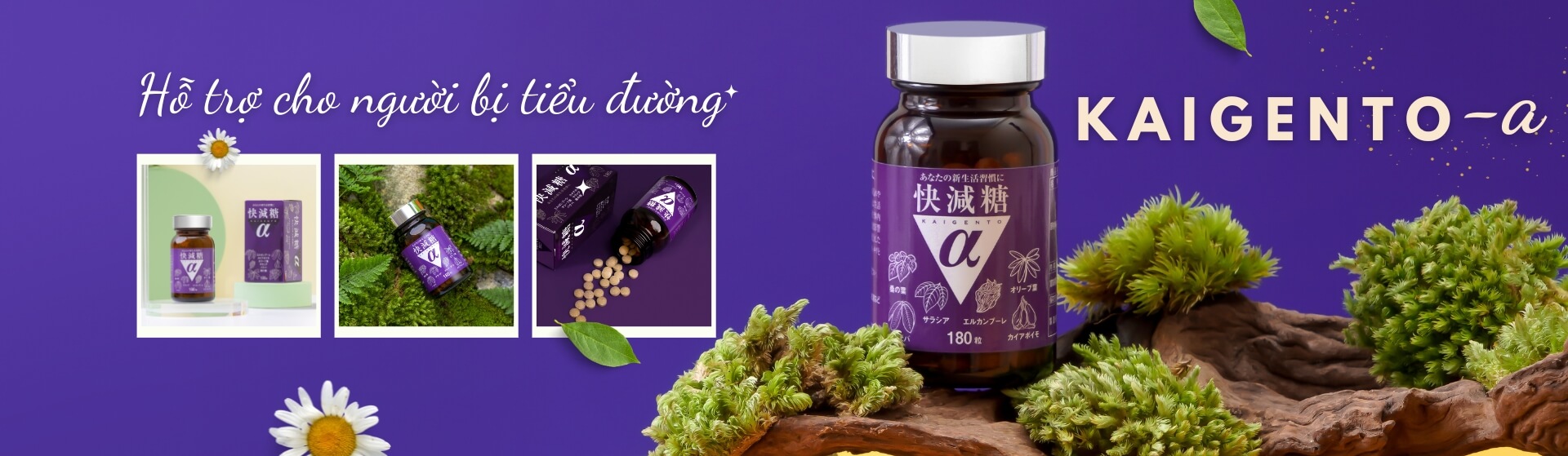 banner web 2 - Sản phẩm được bán bởi Gico Pharma